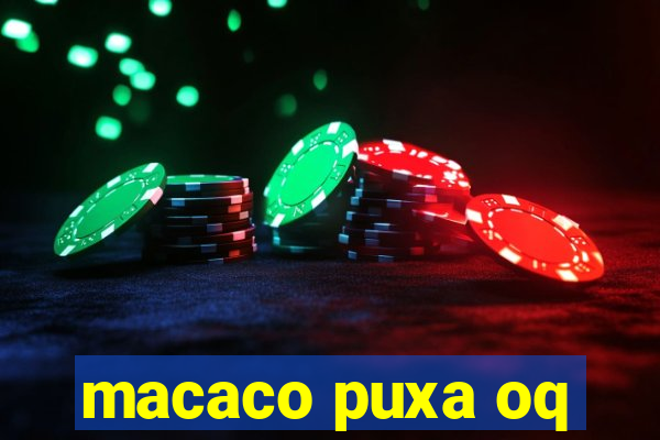 macaco puxa oq